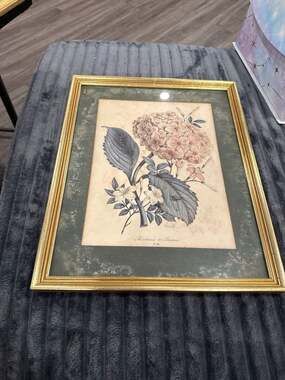 Vintage Framed Benoît Chirat Botanical Print, Hortensia & Jasmin No. 114